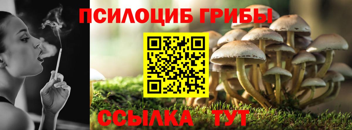 Галлюциногенные грибы прущие грибы Еманжелинск